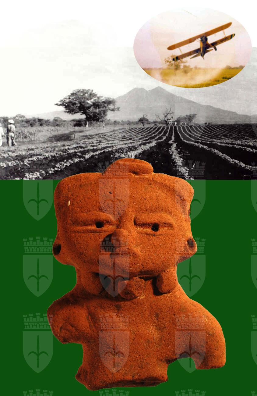 Ceramica Maya 2. UNA COLLEZIONE CHE VIENE DA LONTANO